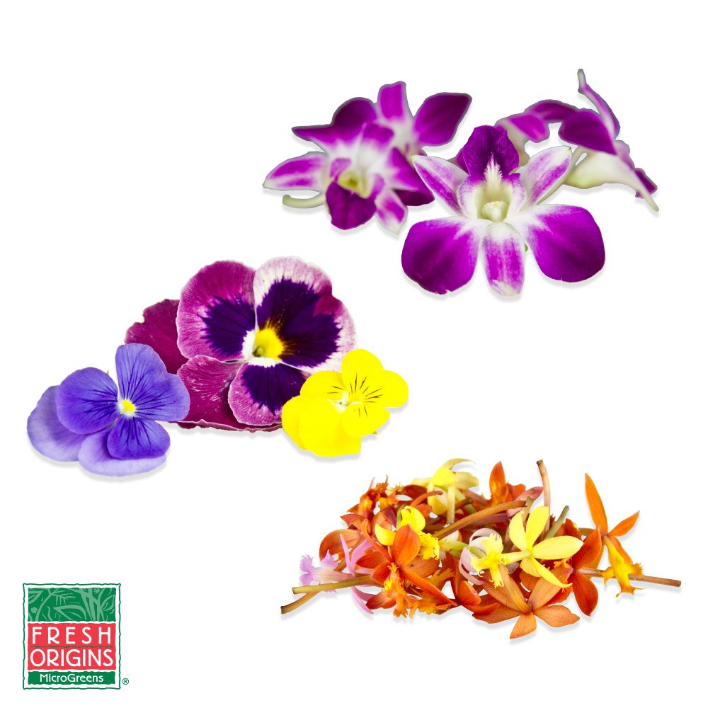 Edible-Pansies-Orchids-Sampler_FreshEdiblePansies&OrchidsSampler_1
