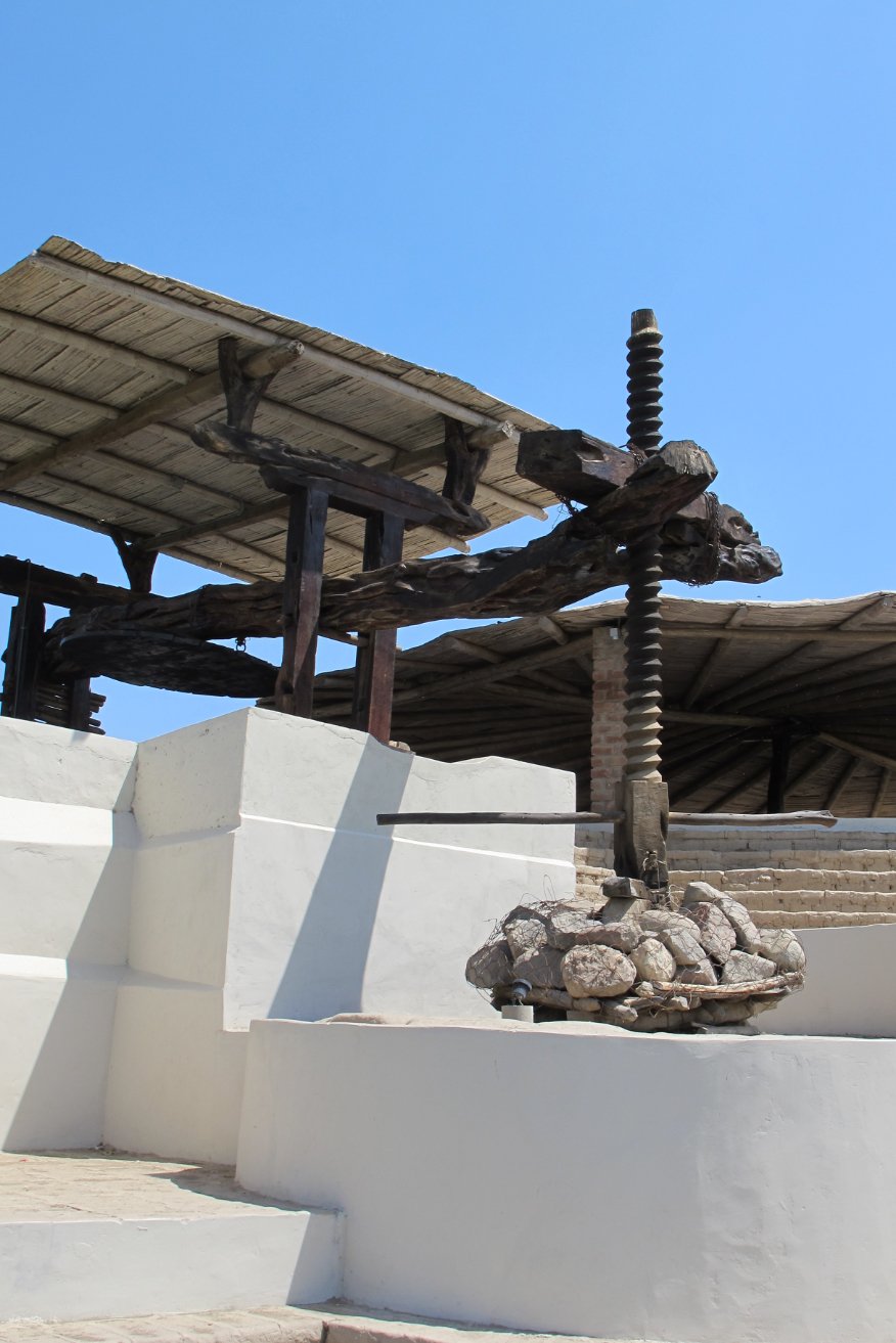 La Caravedo Distillery Pisco Porton Peru wine press2