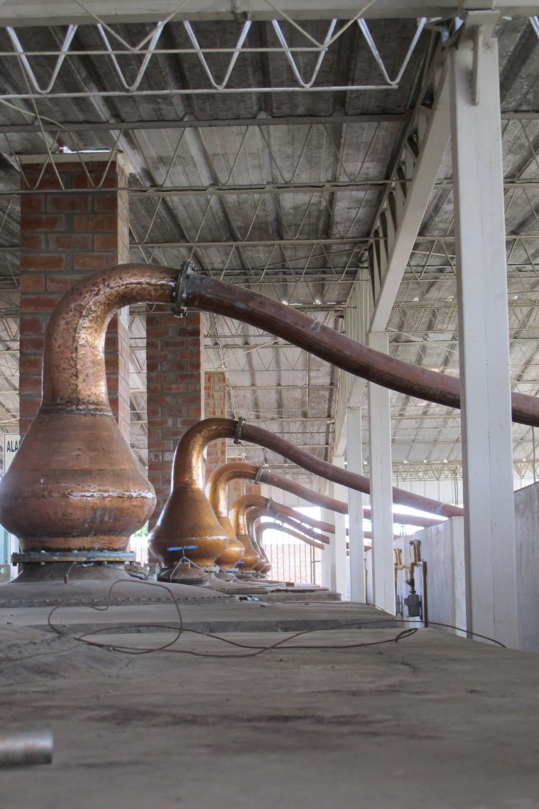 Vinas de Oro Pisco Distillery Peru still5